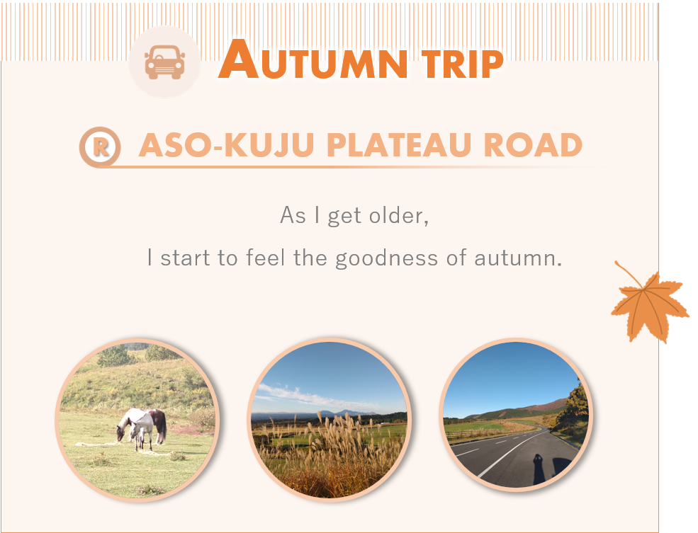 アイキャッチ画像：九州の秋旅／秋旅に出かけよう