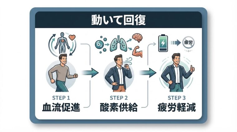 図解画像:血流促進と酸素供給によって効率的に疲労を軽減する「動いて回復」の3ステップを整理した画像