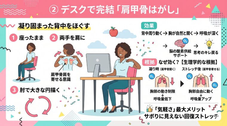 図解画像:デスクワーク中の姿勢改善と胸郭解放が集中力を持続させる「肩甲骨ストレッチ」の効果を整理した画像