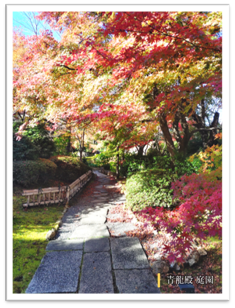 紅葉に染まる京都の青龍殿の庭の写真