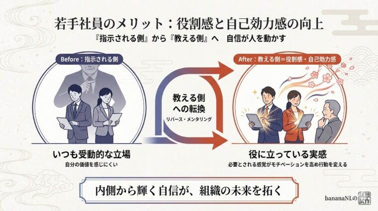 若手社員のメリットとして、指示される側から「教える側」への転換が、役割感と自己効力感の向上に繋がることを示す図解。
