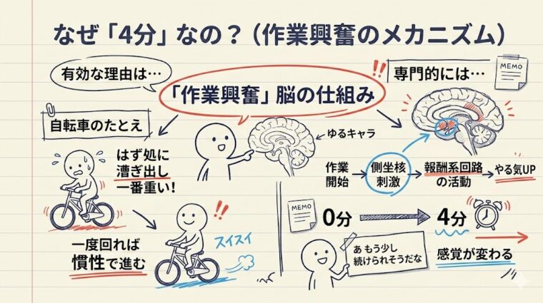 アイキャッチ画像:側坐核の活性化から作業興奮、フロー状態を経て持続的な集中に至る「4分間の科学」のメカニズムを整理した画像